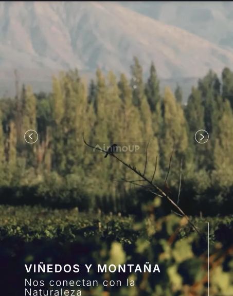 Lote en Venta en Lujan de Cuyo, Mendoza