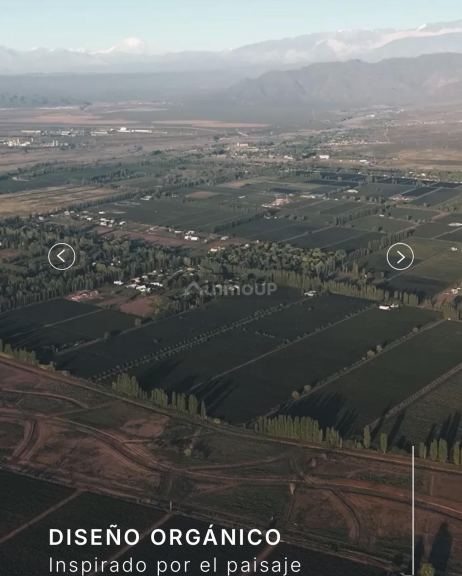 Lote en Venta en Lujan de Cuyo, Mendoza