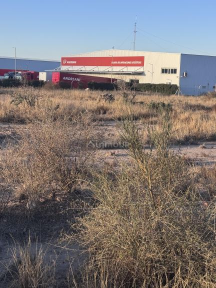 Lote en Venta en Lujan de Cuyo, Mendoza