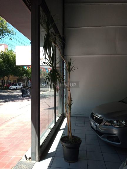 Local Comercial en Alquiler en Godoy Cruz, Mendoza