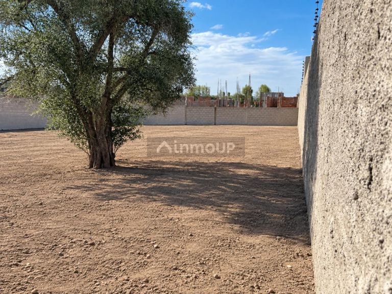 Lote en Venta en Lujan de Cuyo, Mendoza