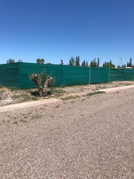 Loteo en Venta en Maipu, Mendoza