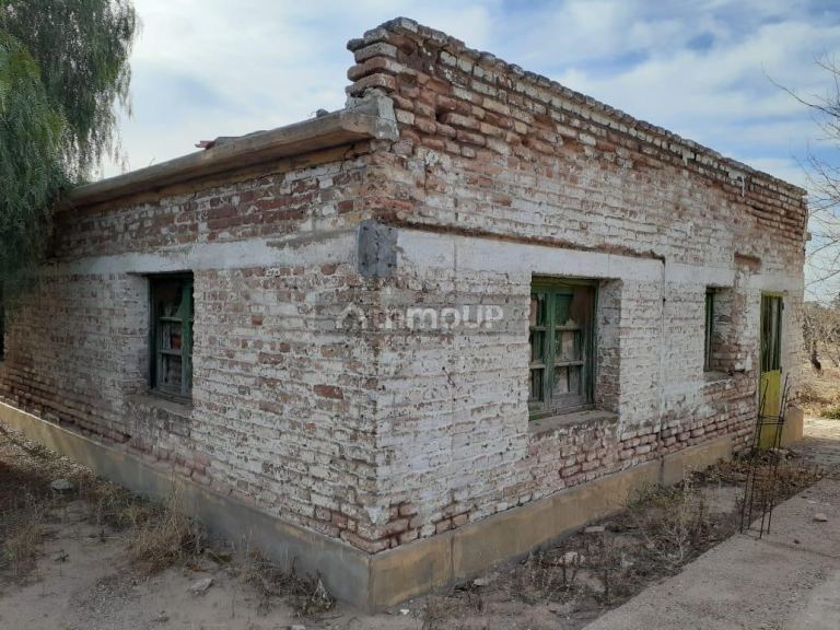 Viñedo en Venta en San Martin, Mendoza