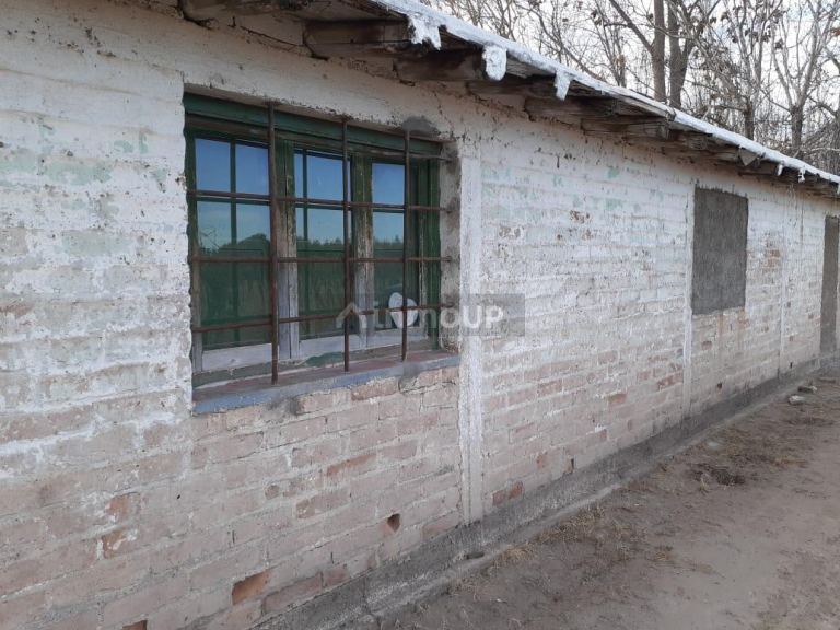 Viñedo en Venta en San Martin, Mendoza