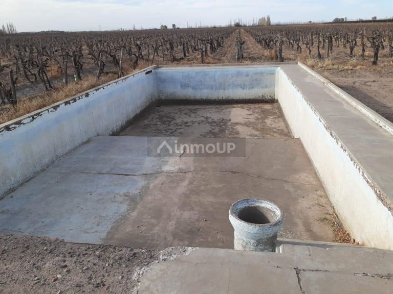 Viñedo en Venta en San Martin, Mendoza