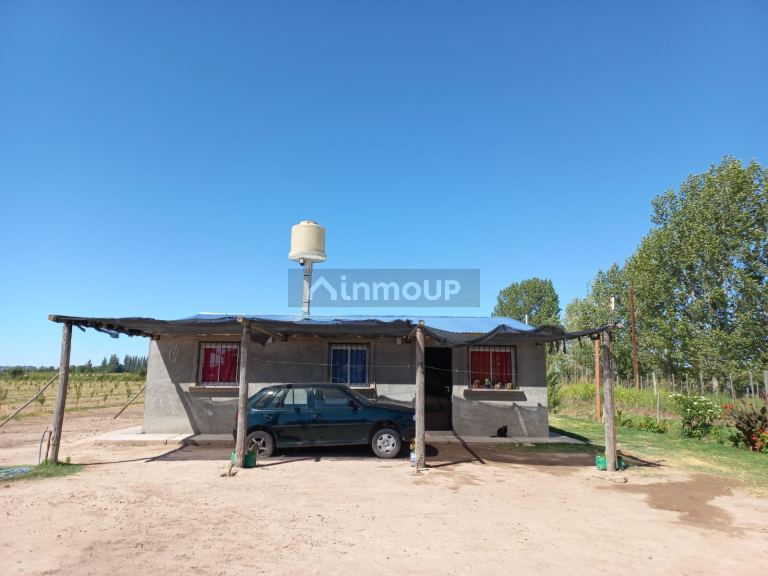 Finca en Venta en San Martin, Mendoza