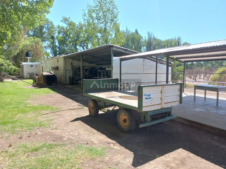 Finca en Venta en San Martin, Mendoza