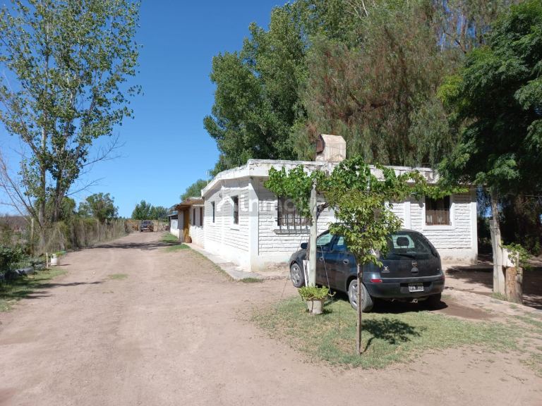 Finca en Venta en San Martin, Mendoza