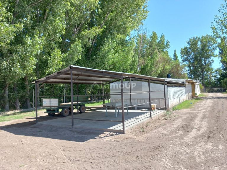 Finca en Venta en San Martin, Mendoza