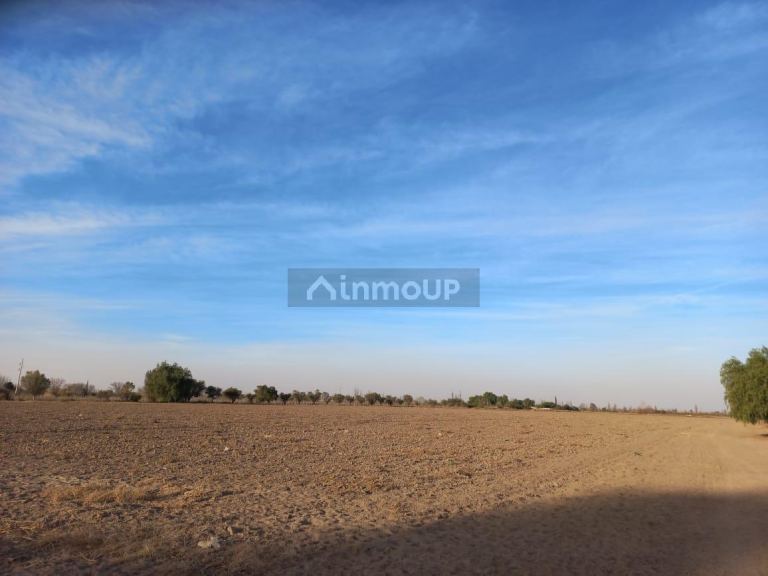 Finca en Venta en Junin, Mendoza