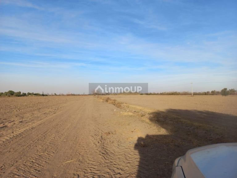 Finca en Venta en Junin, Mendoza