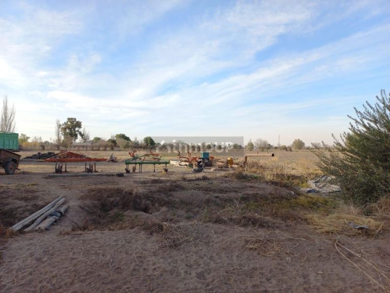 Finca en Venta en Junin, Mendoza