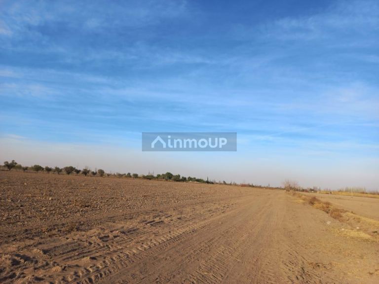 Finca en Venta en Junin, Mendoza
