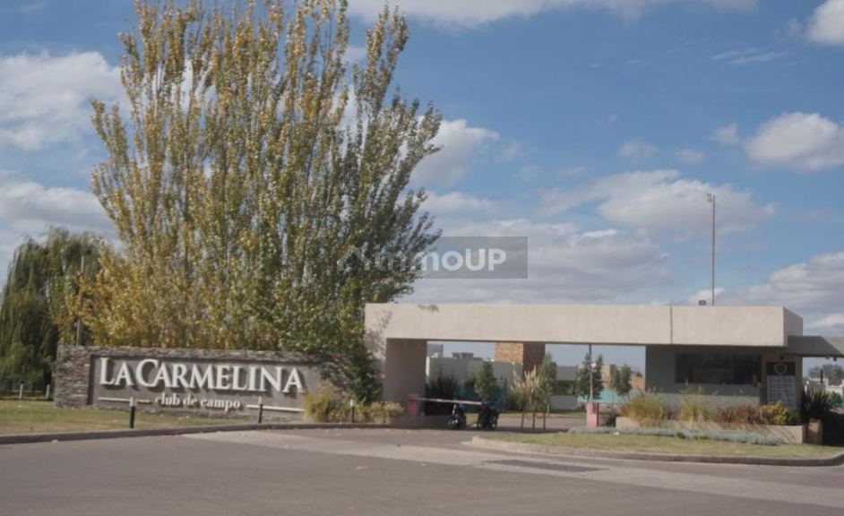 Lote en Venta en San Martin, Mendoza