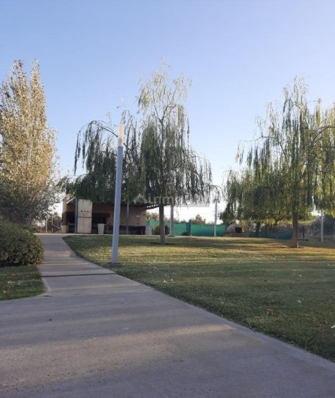 Lote en Venta en San Martin, Mendoza