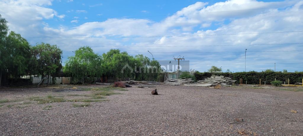 Galpon en Venta en San Martin, Mendoza