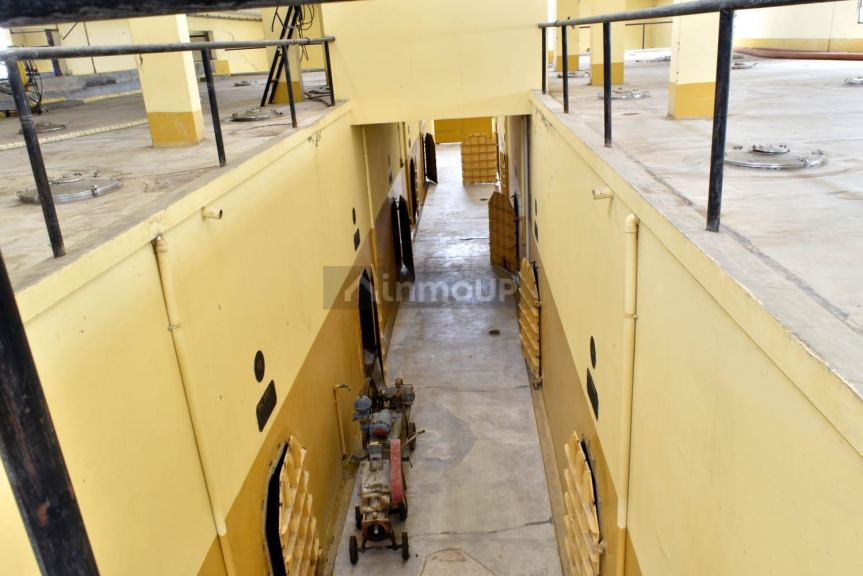 Bodega en Venta en San Martin, Mendoza