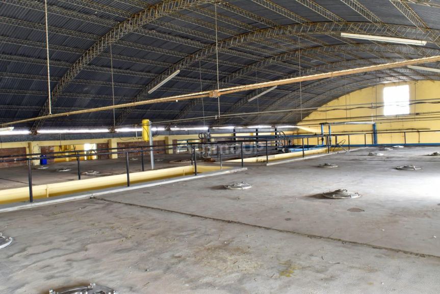 Bodega en Venta en San Martin, Mendoza