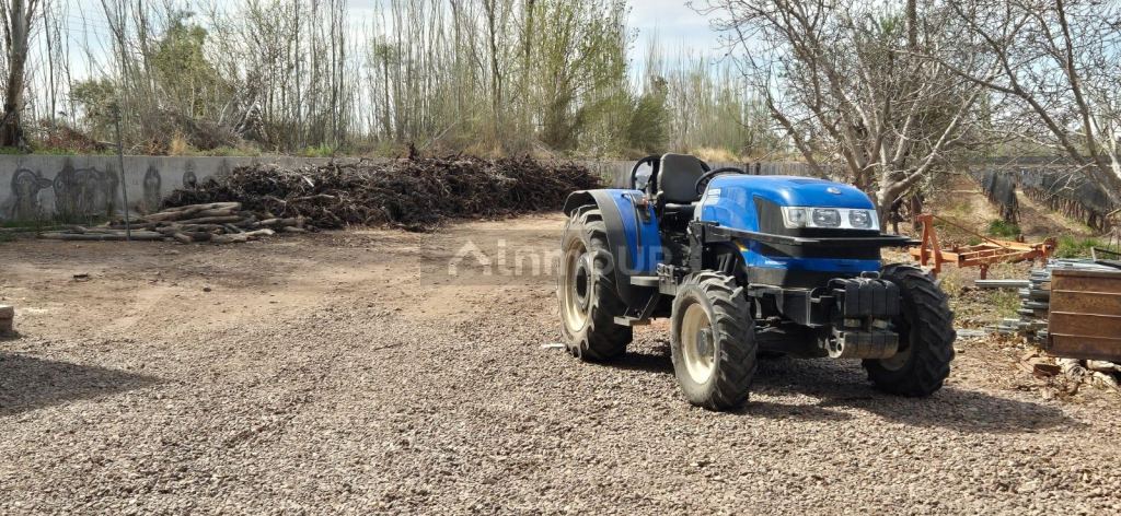 Finca en Venta en Junin, Mendoza