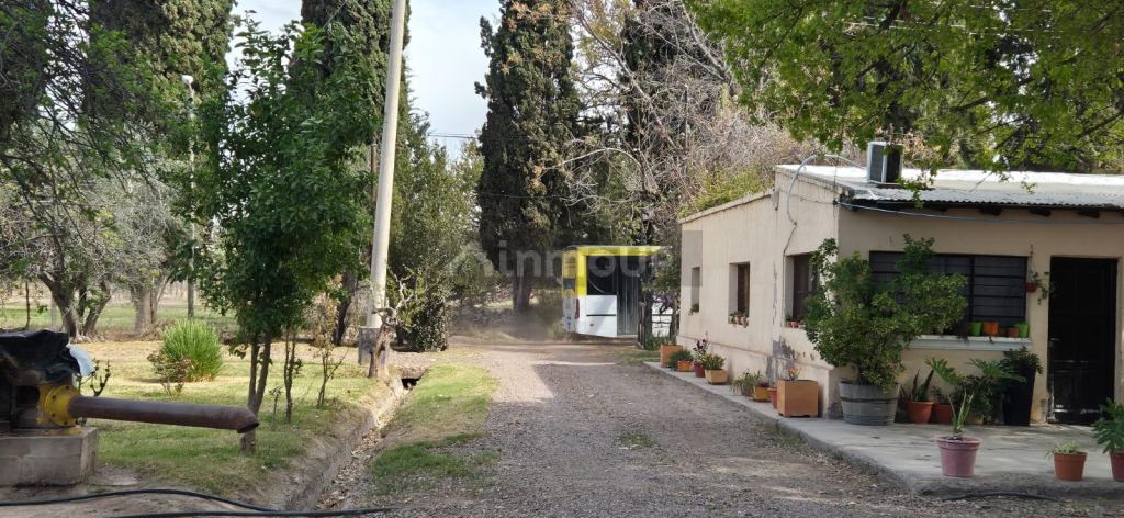 Finca en Venta en Junin, Mendoza