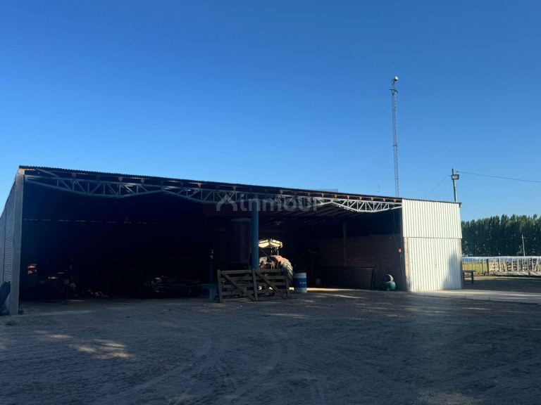 Campo en Venta en San Rafael, Mendoza