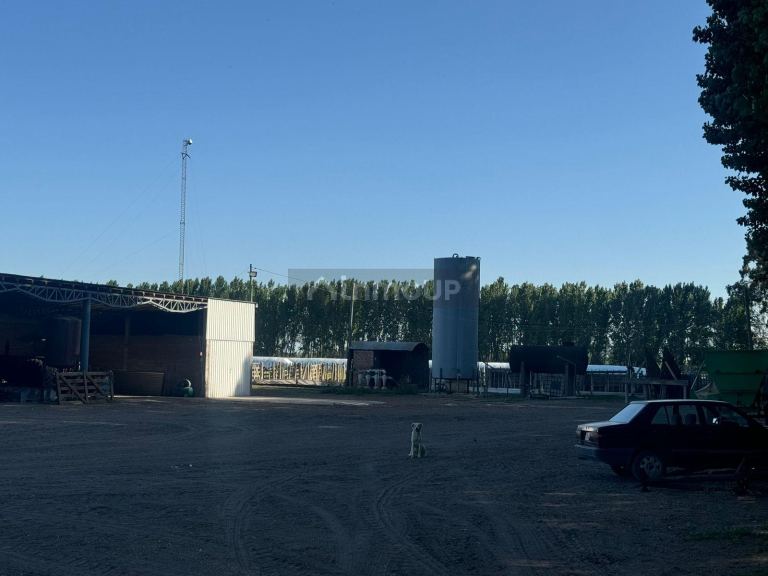 Campo en Venta en San Rafael, Mendoza