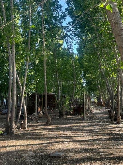 Campo en Venta en San Rafael, Mendoza
