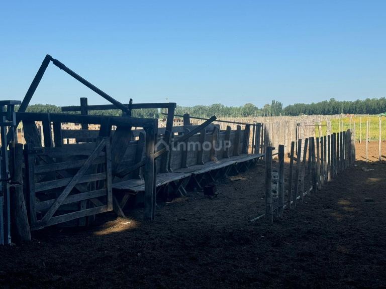 Campo en Venta en San Rafael, Mendoza