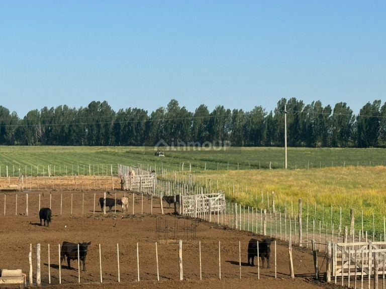 Campo en Venta en San Rafael, Mendoza