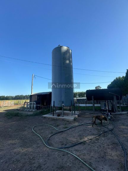 Campo en Venta en San Rafael, Mendoza