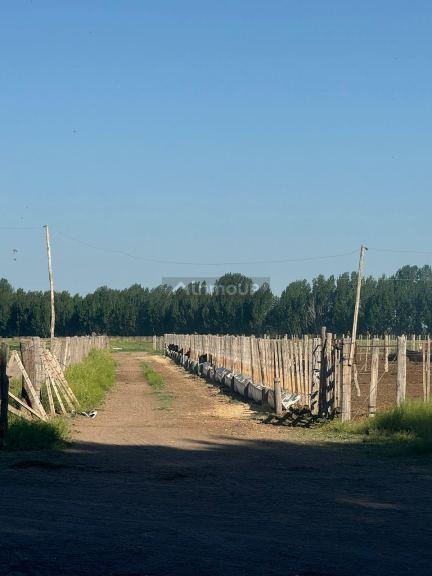 Campo en Venta en San Rafael, Mendoza