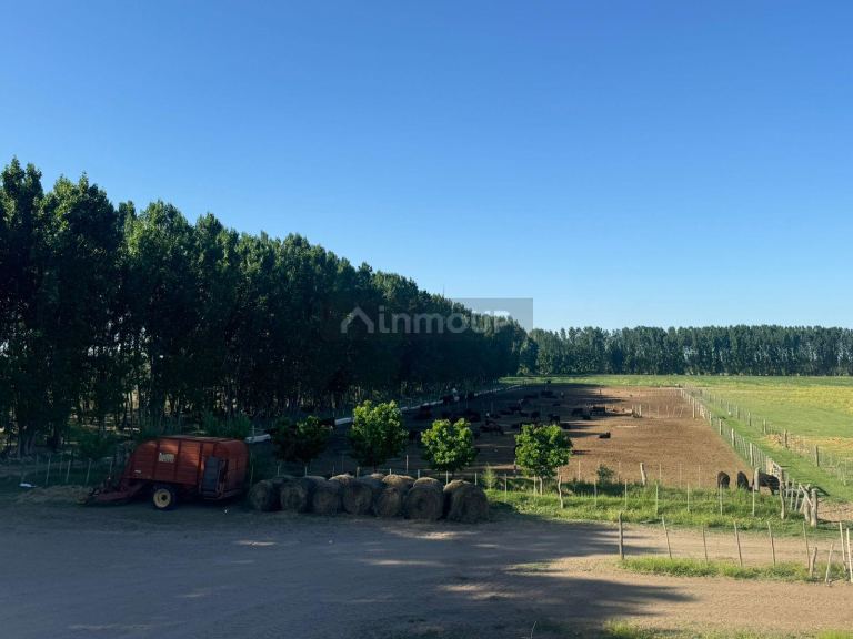Campo en Venta en San Rafael, Mendoza
