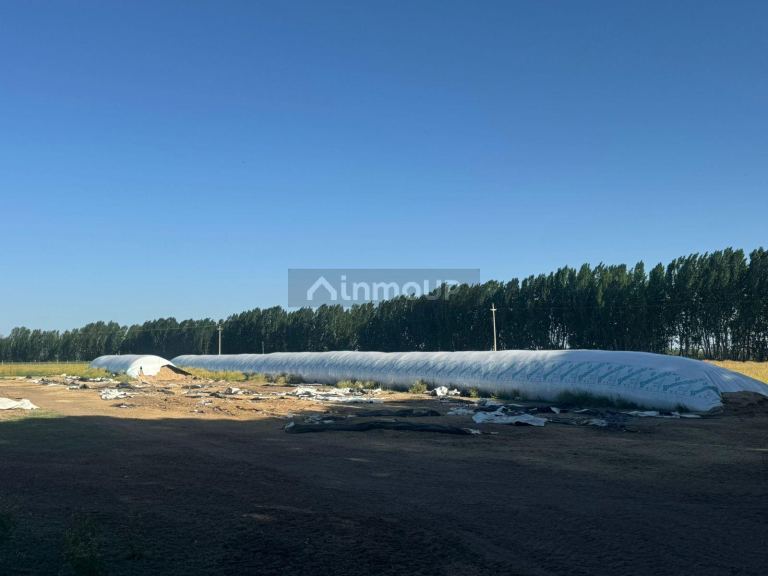 Campo en Venta en San Rafael, Mendoza