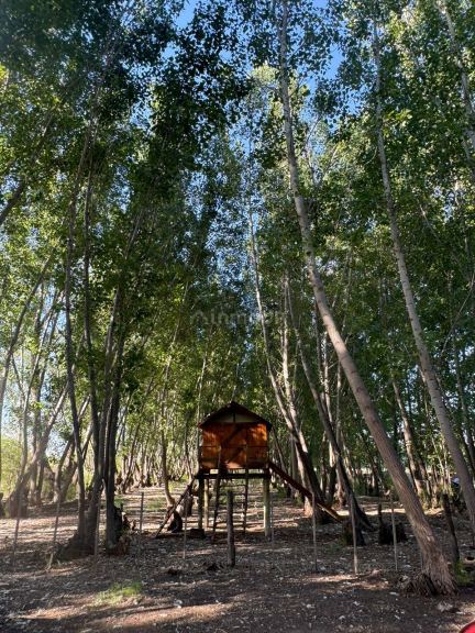 Campo en Venta en San Rafael, Mendoza