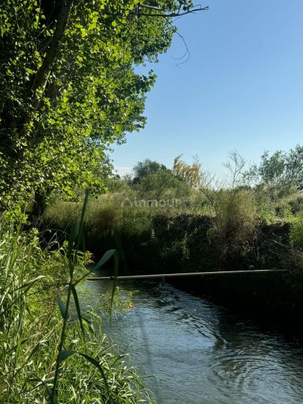 Campo en Venta en San Rafael, Mendoza