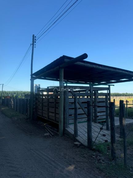 Campo en Venta en San Rafael, Mendoza