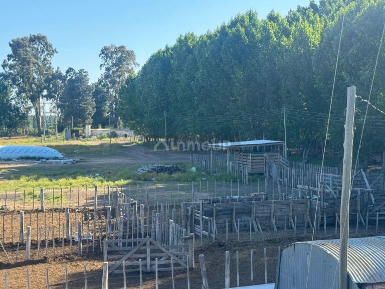 Campo en Venta en San Rafael, Mendoza