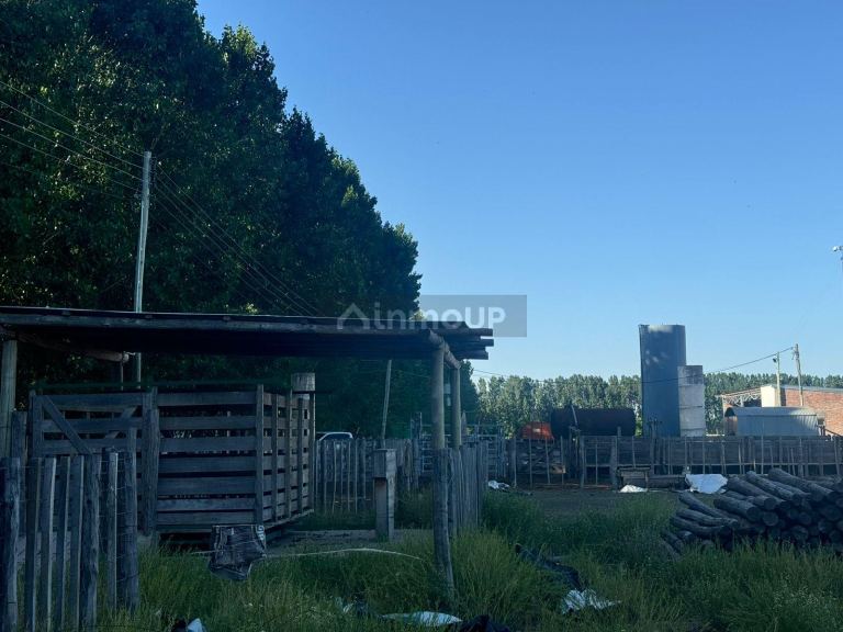 Campo en Venta en San Rafael, Mendoza
