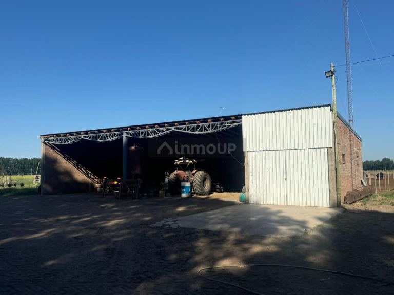 Campo en Venta en San Rafael, Mendoza