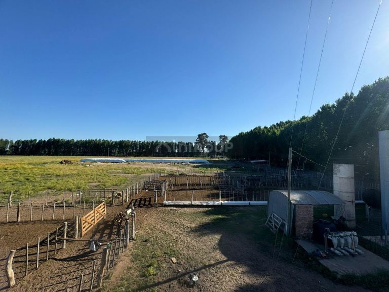 Campo en Venta en San Rafael, Mendoza