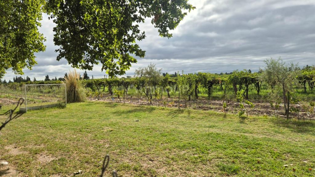 Finca en Venta en Junin, Mendoza
