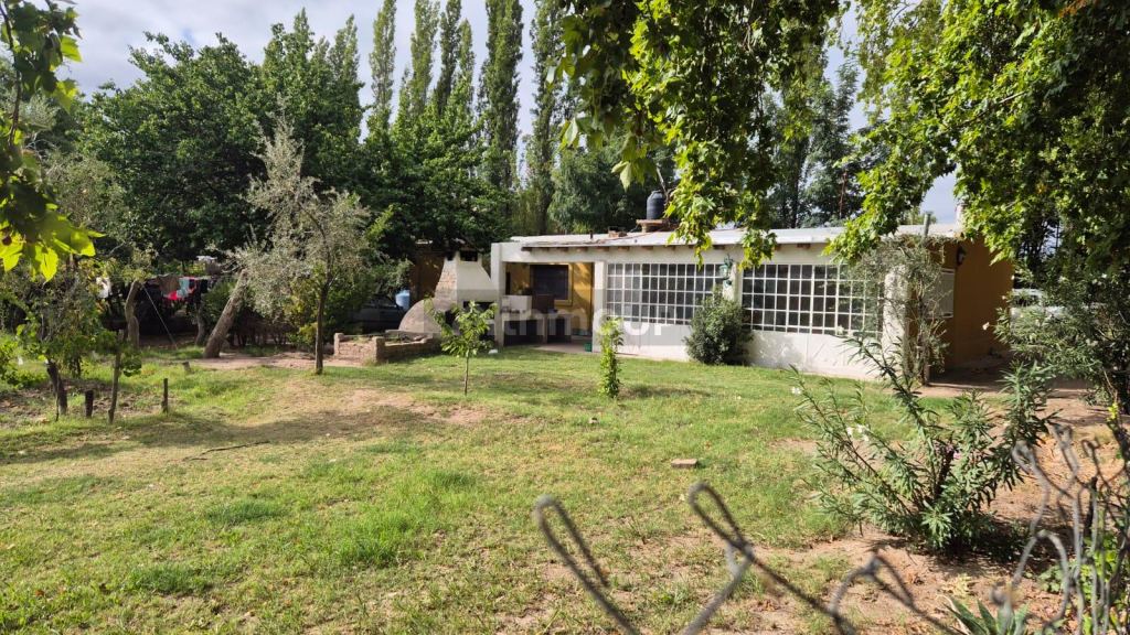 Finca en Venta en Junin, Mendoza