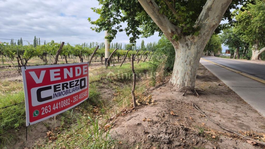 Finca en Venta en Junin, Mendoza