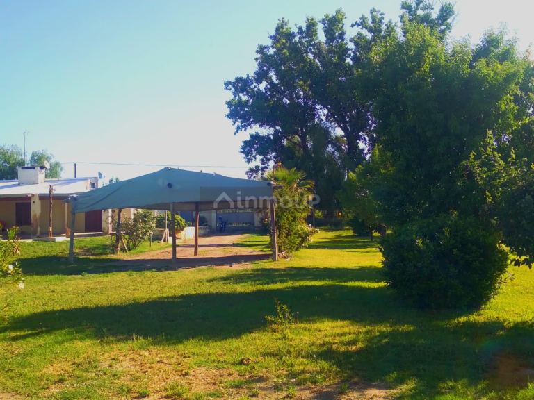 Finca en Venta en San Martin, Mendoza