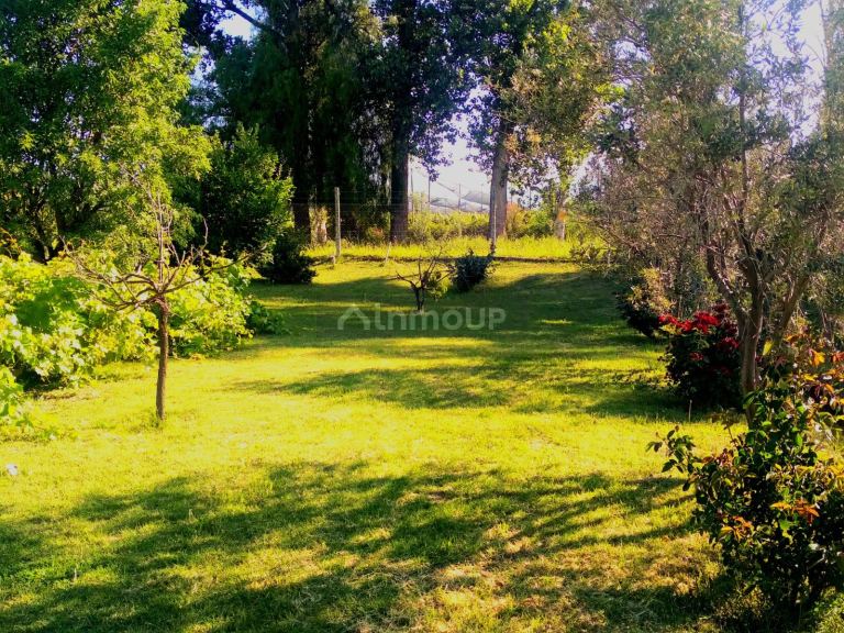 Finca en Venta en San Martin, Mendoza