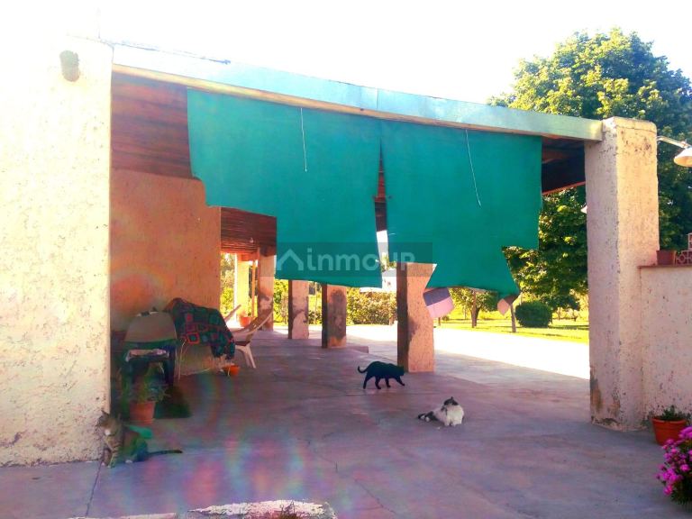 Finca en Venta en San Martin, Mendoza