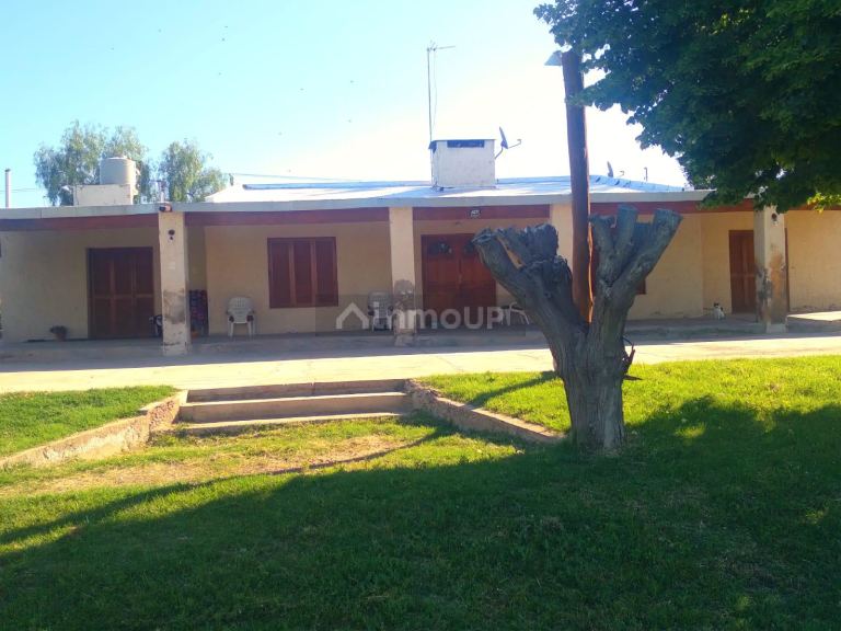 Finca en Venta en San Martin, Mendoza
