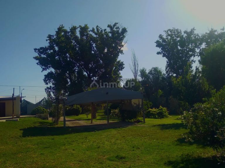 Finca en Venta en San Martin, Mendoza