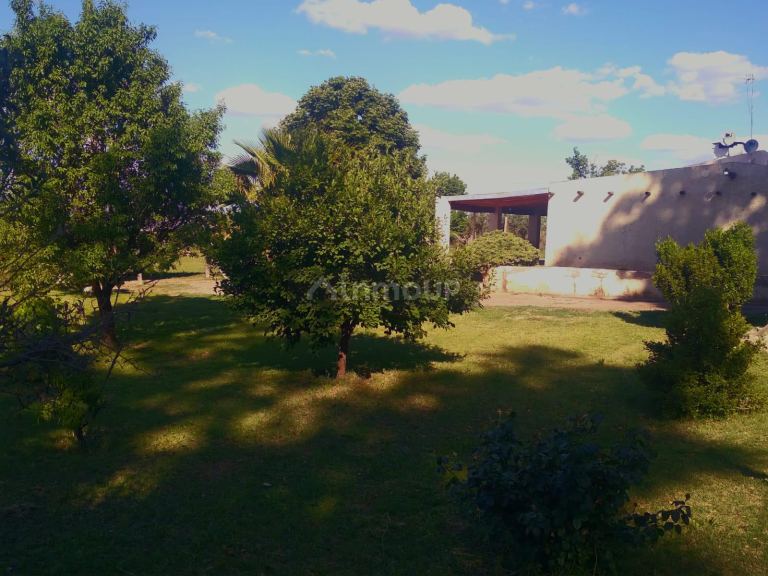 Finca en Venta en San Martin, Mendoza