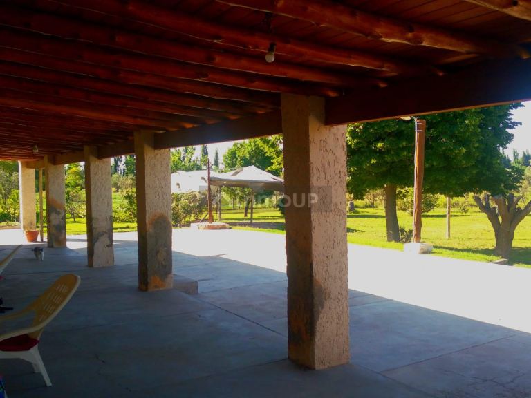 Finca en Venta en San Martin, Mendoza